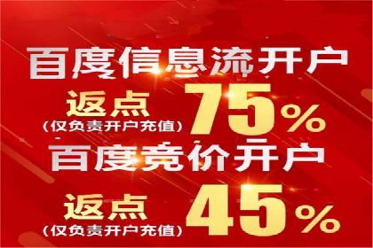 百度推广全攻略：成功案例剖析